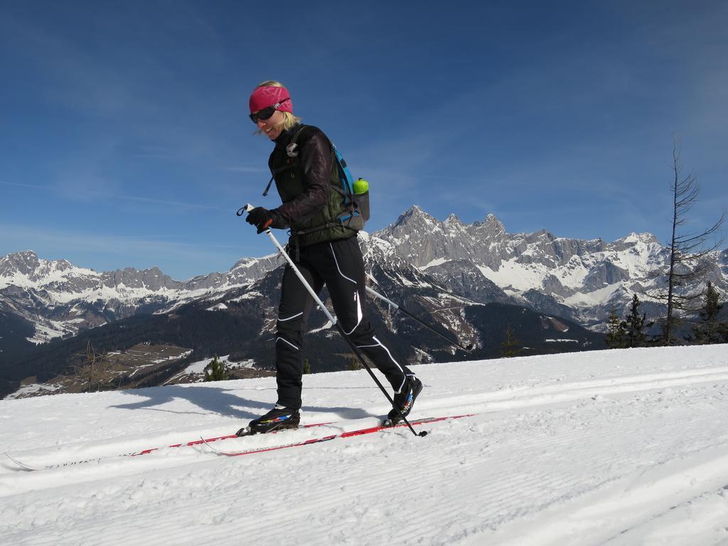 Austrian Alpine Apartments Ramsau am Dachstein Extérieur photo