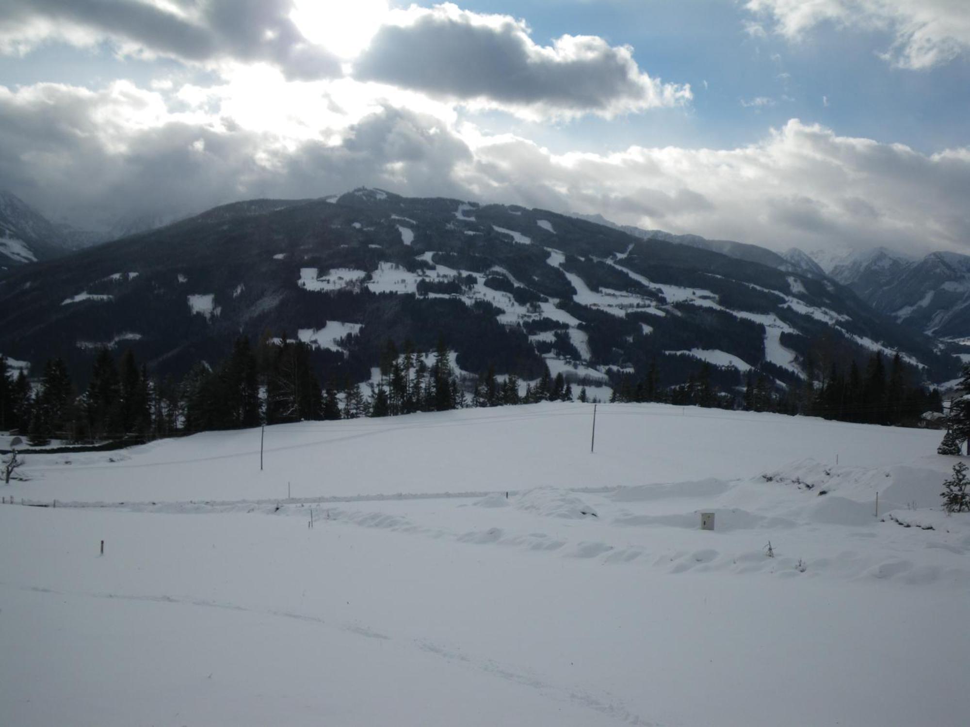Austrian Alpine Apartments Ramsau am Dachstein Extérieur photo