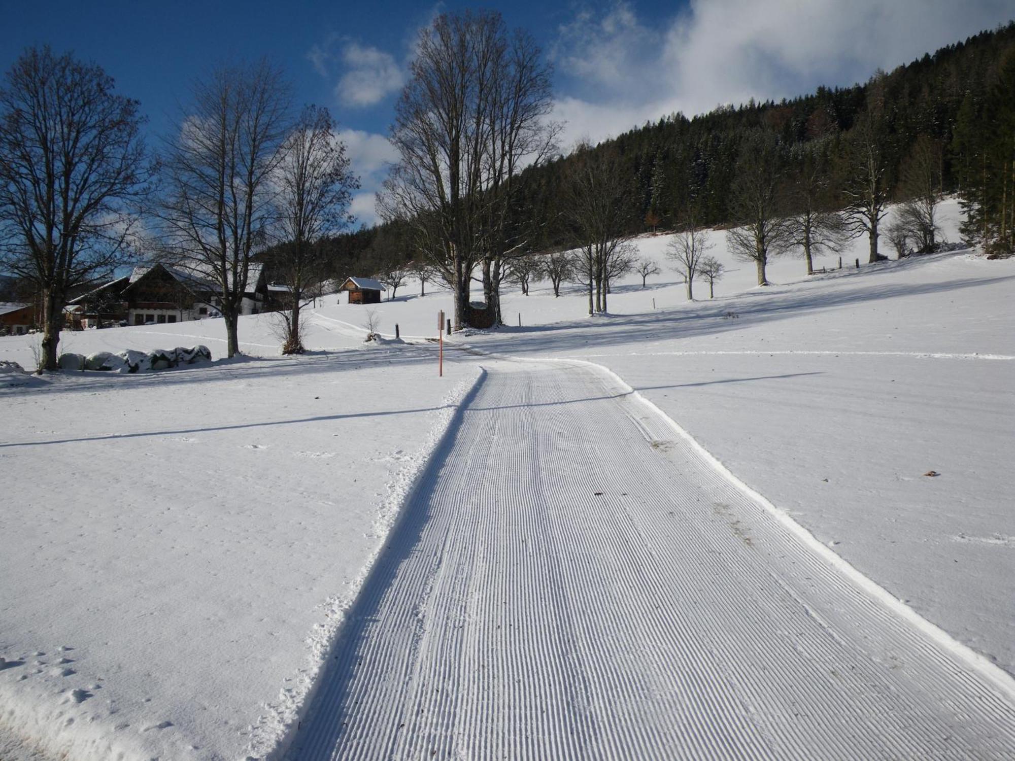 Austrian Alpine Apartments Ramsau am Dachstein Extérieur photo
