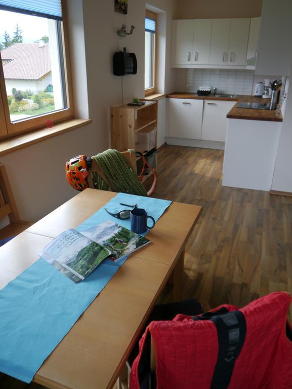Austrian Alpine Apartments Ramsau am Dachstein Extérieur photo