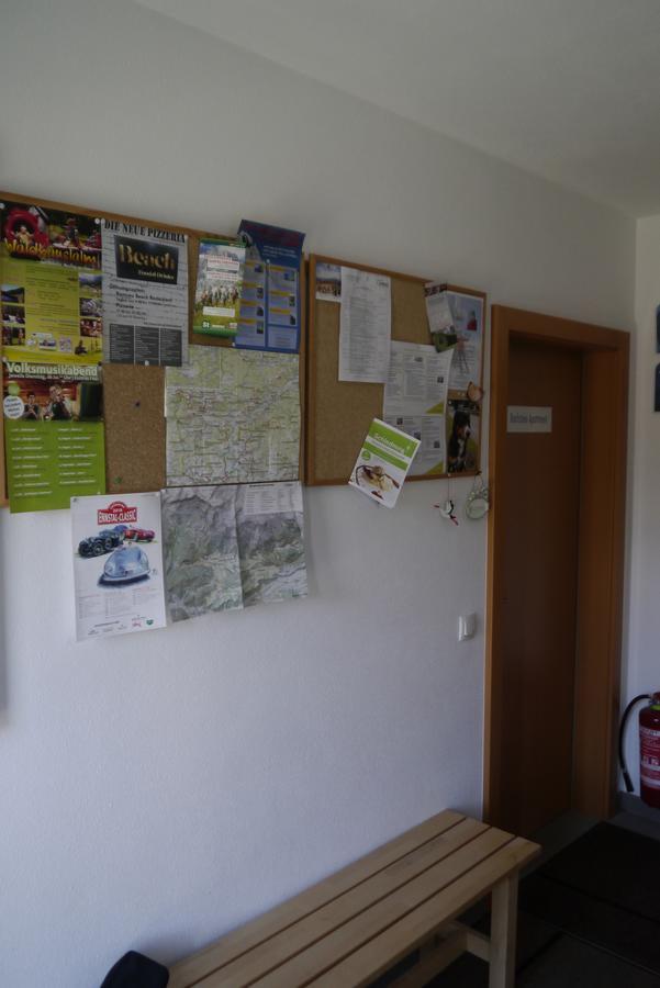Austrian Alpine Apartments Ramsau am Dachstein Extérieur photo